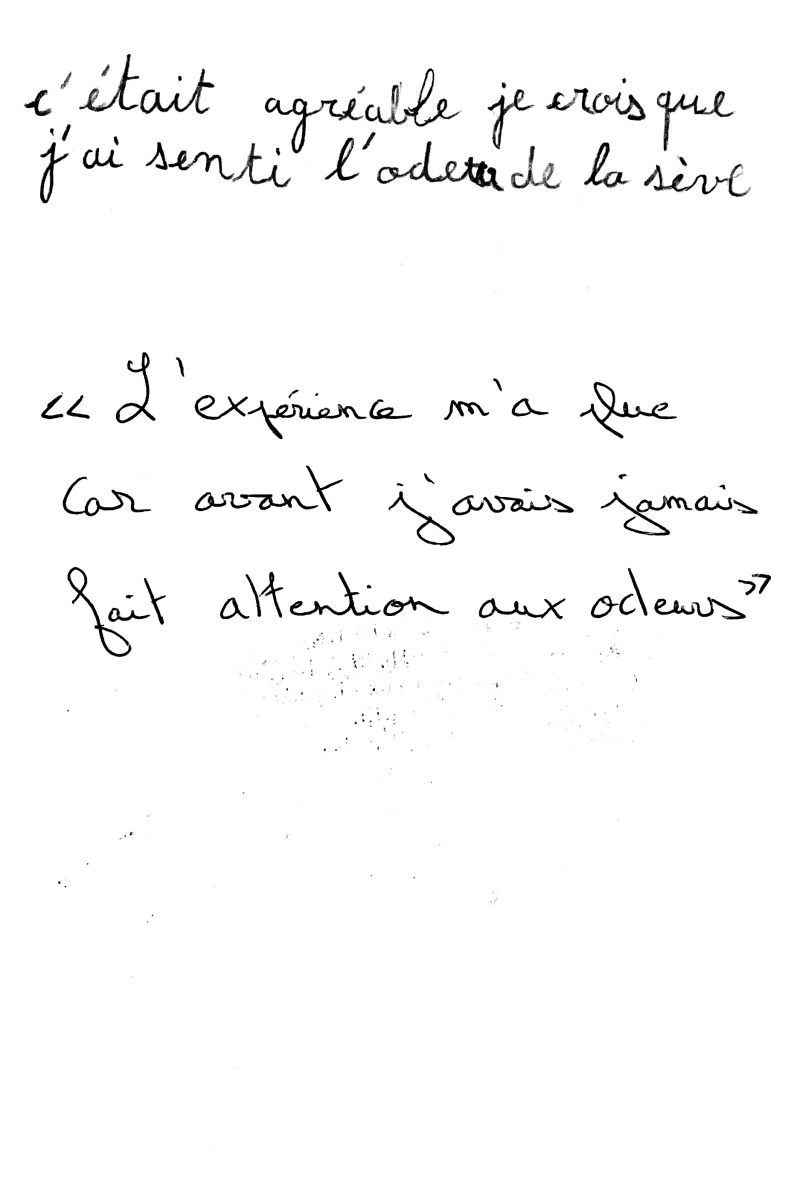 minute des odeurs