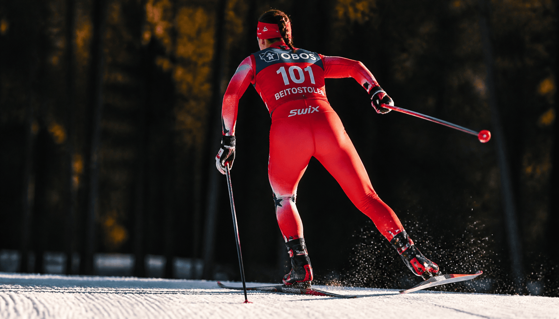 ski nordique net