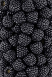 blackberries blackberries