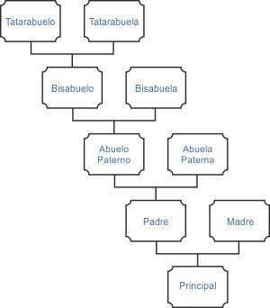 &Aacute;rbol geneal&oacute;gico por l&iacute;nea de apellido
