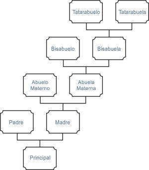 &Aacute;rbol geneal&oacute;gico por l&iacute;nea materna