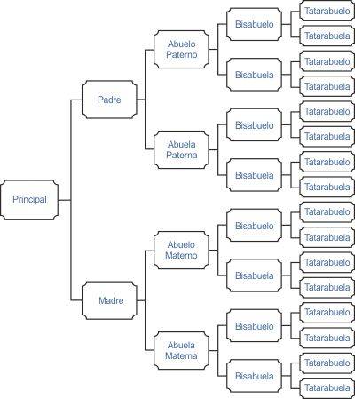 &Aacute;rbol geneal&oacute;gico lineal horizontal o &Aacute;rbol de costados
