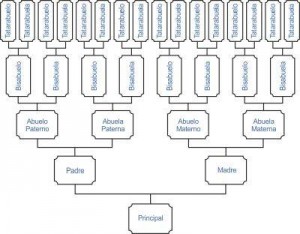 Estudios de Antepasados