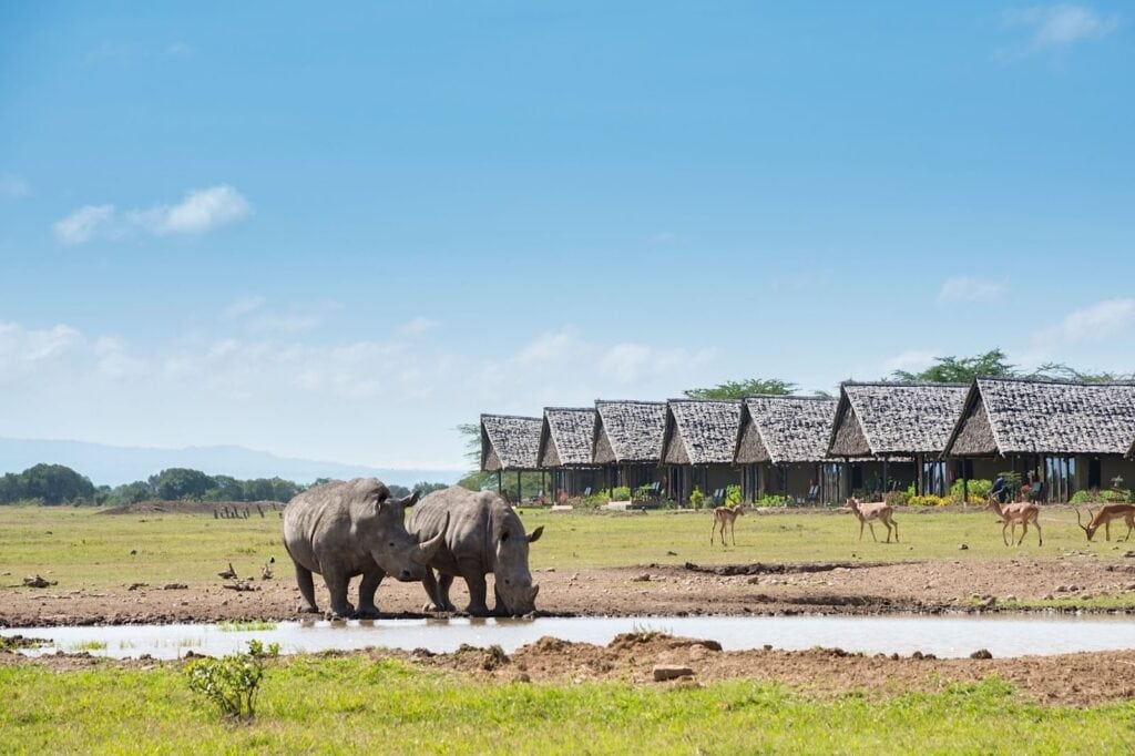 Sweetwaters Serena Camp.