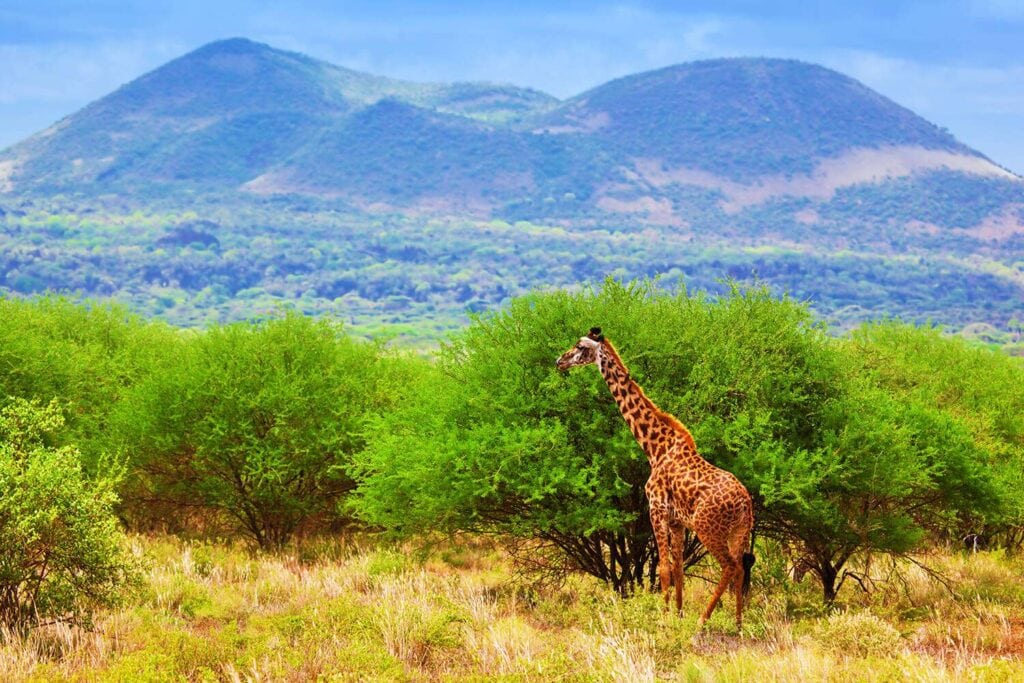 Tsavo West