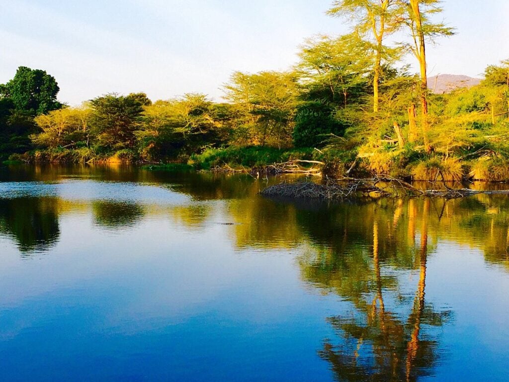 Mzima Springs