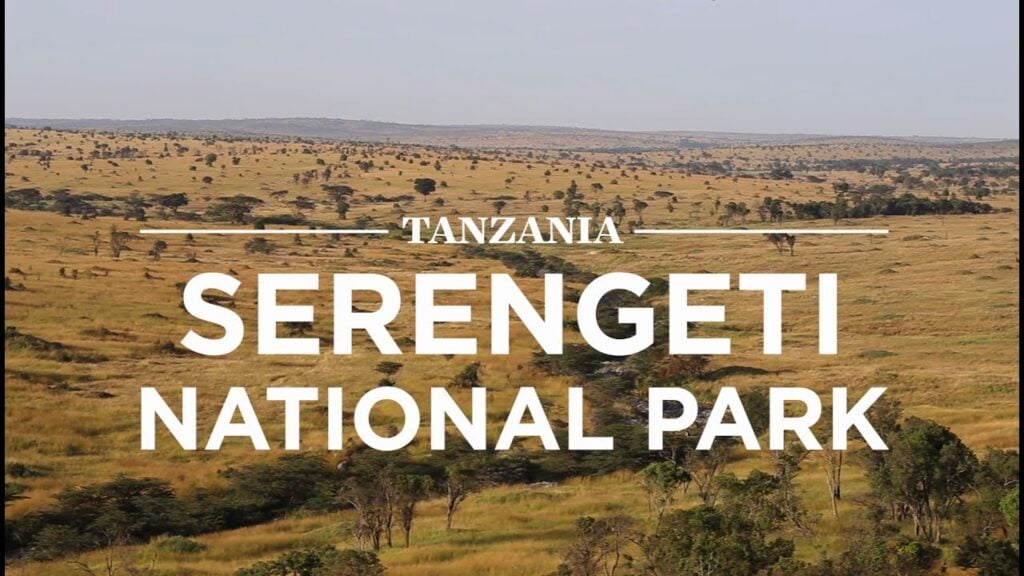 Why Is Serengeti Famous Worldwide