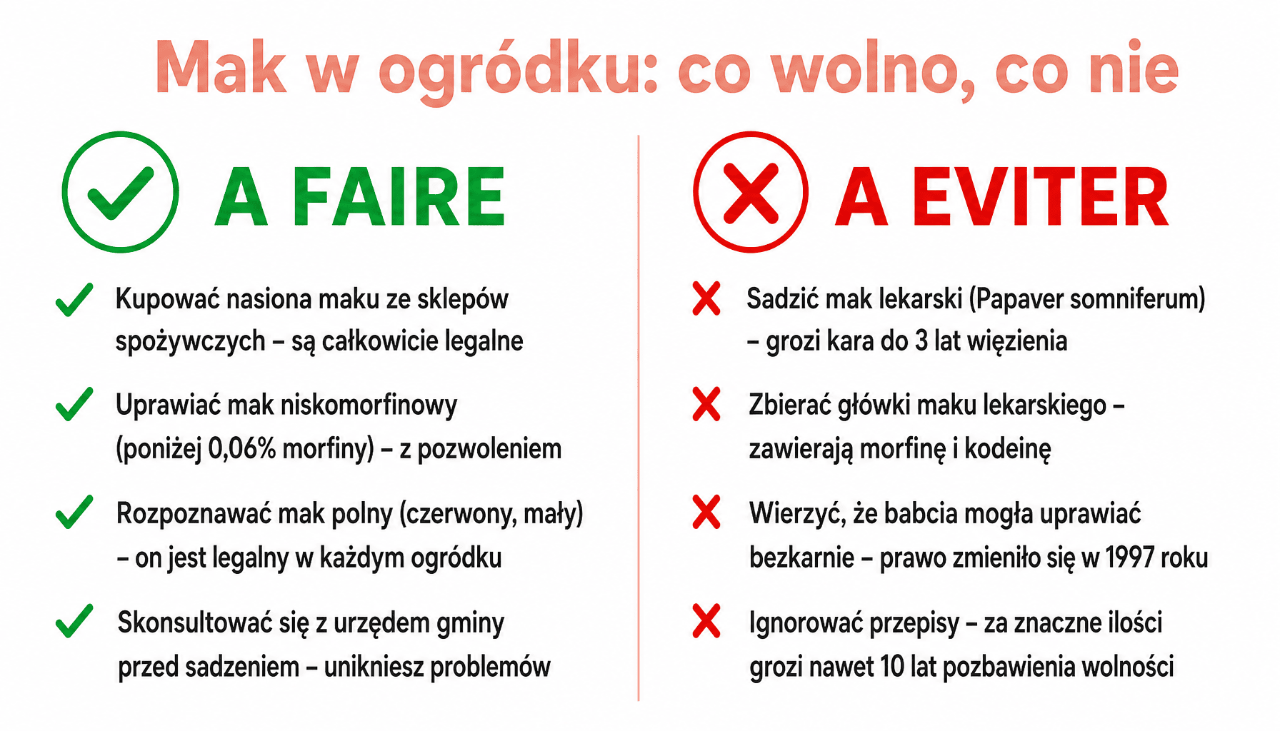 Infografika: dlaczego mak jest zakazany w Polsce - co robić i czego unikać przy uprawie maku