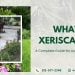 What Is Xeriscaping? A Complete Guide for Austin, TX Homeowners