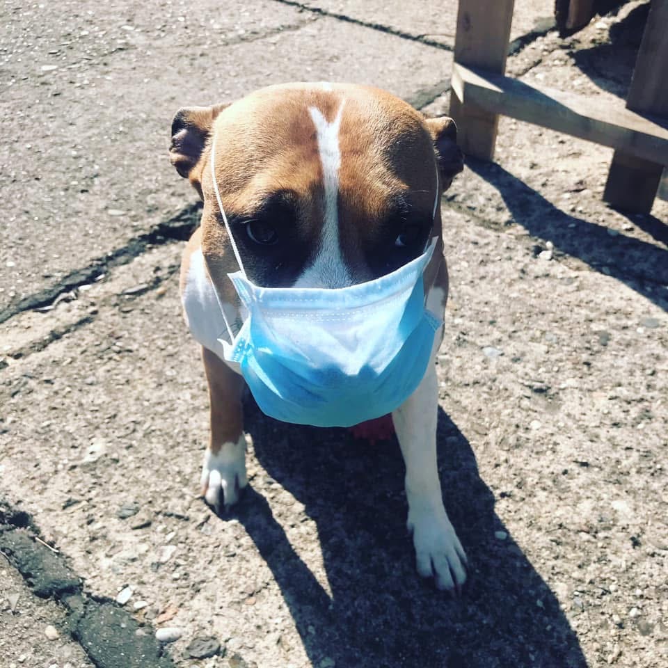 Karanténa nebo špatný vtip??