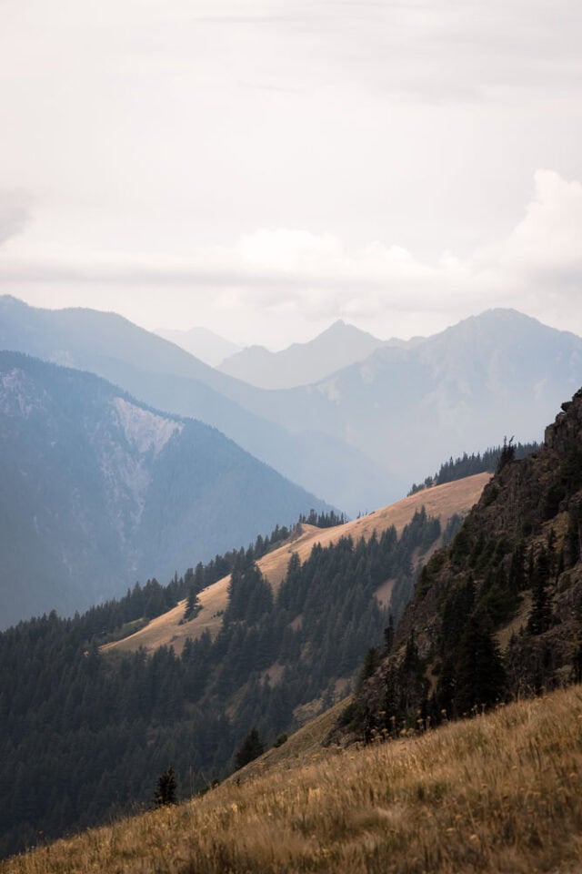 Hurricane Hill | 13 Day Hikes in Olympic National Park Hurricane Hill hike, arboursabroad, Olympic National Park