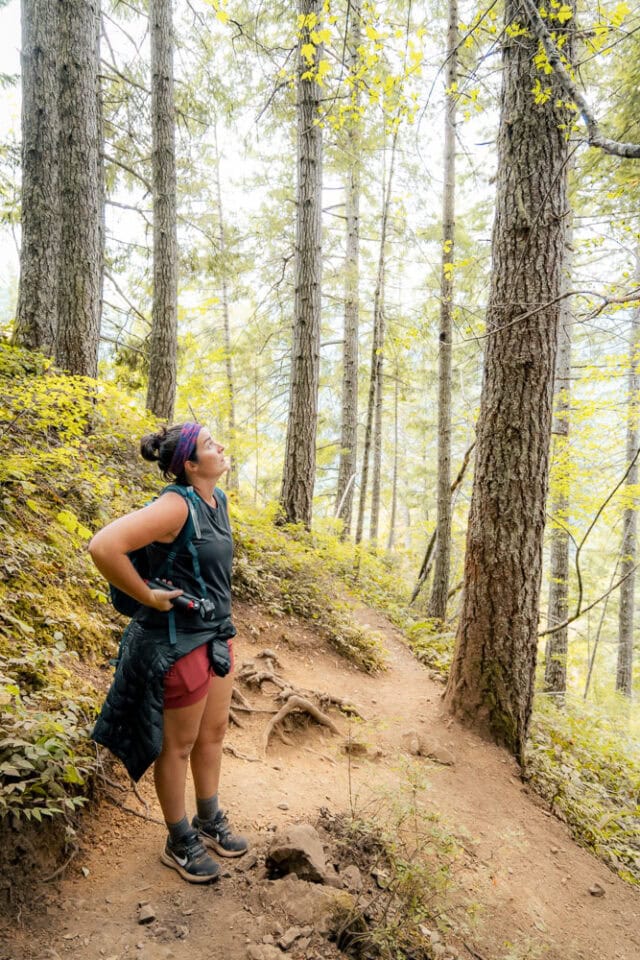13 Olympic National Park Hikes | Mount Storm King Mount Storm King Hike, Olympic National Park, Washington Hikes, PNW, ArboursAbroad