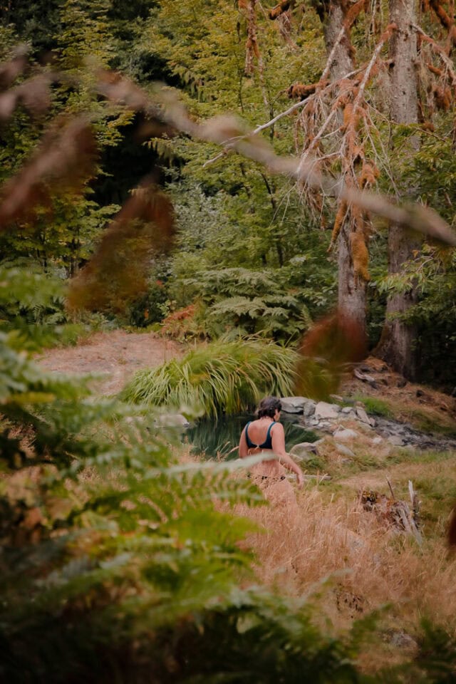 Olympic Hot Springs | Washington Hot Spring Hike, Olympic National Park, ArboursAbroad, Washington Hot Springs