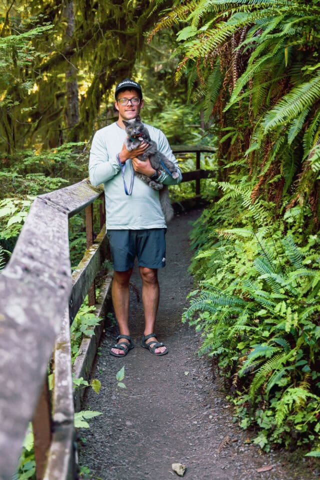 Quinault Rain Forest Nature Trail | Pet Friendly Hikes Near Olympic National Park hiking with pets near Olympic National Park, Quinault Rainforest, ArboursAbroad
