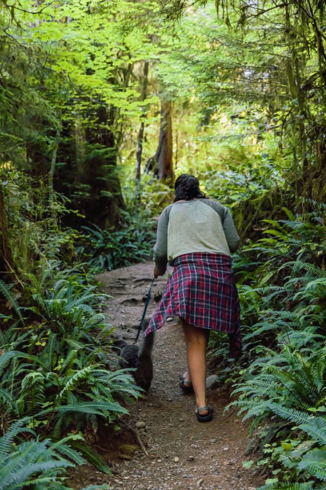 Pet Friendly Hike Near Olympic National Park Quinault Rainforest Hike, Olympic National Park, ArboursAbroad
