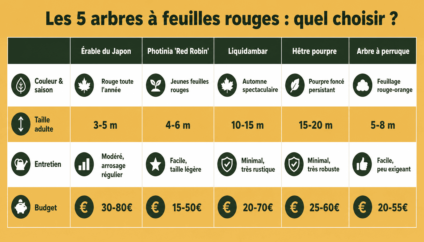 Comparaison des meilleures variétés d'arbre à feuilles rouges pour jardin : érable, photinia, liquidambar