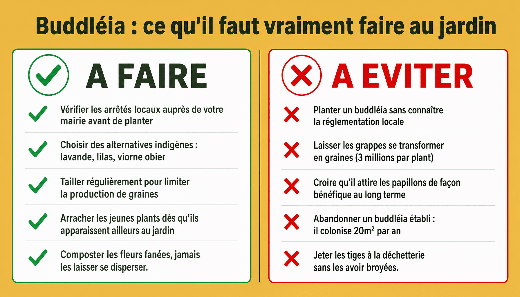 Infographie arbre à papillon dangereux : à faire et à éviter pour un jardin sain