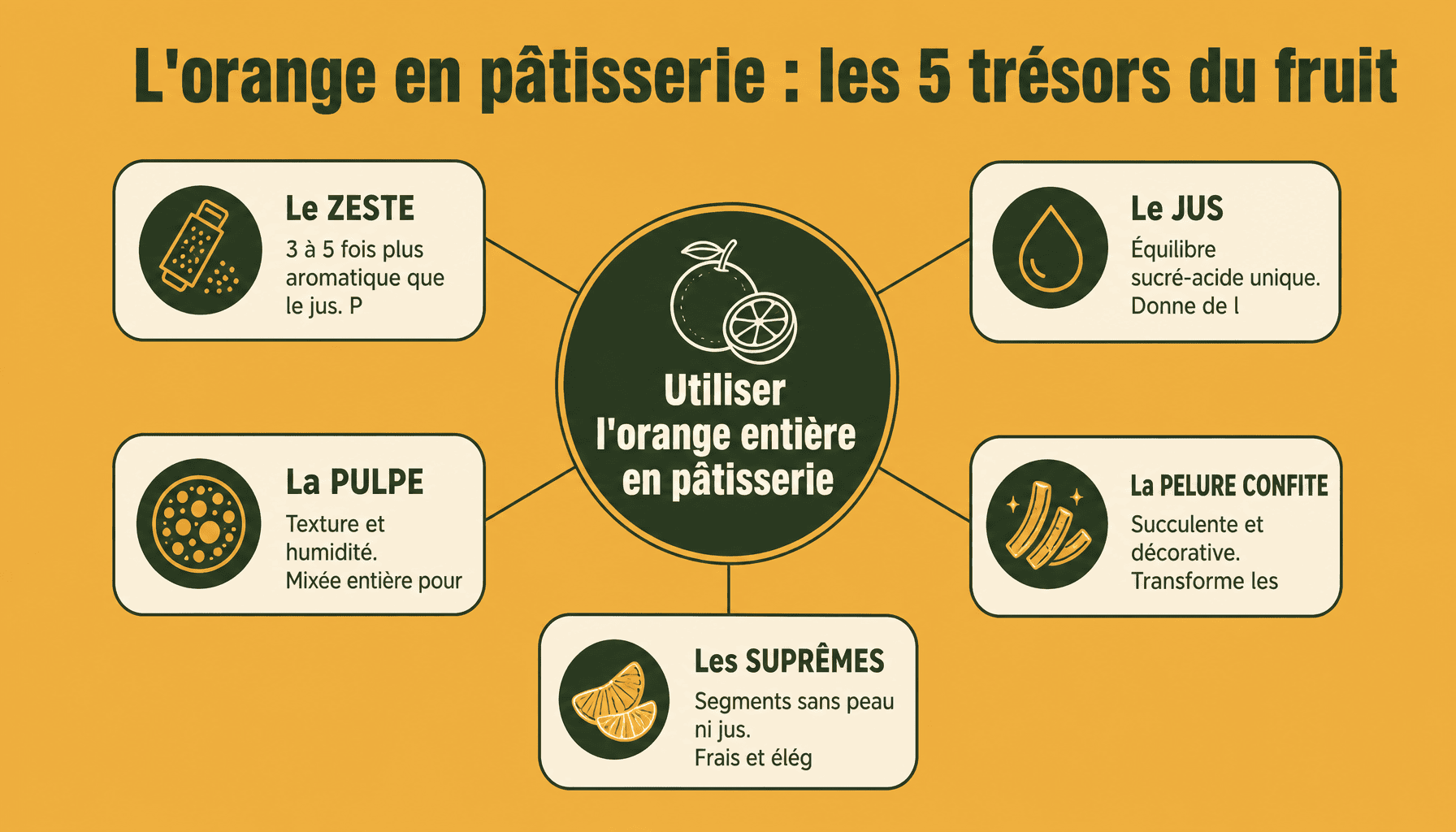 Infographie decomposition des parties de l'orange pour desserts using oranges : jus, zeste, pulpe, pelure confite, suprêmes