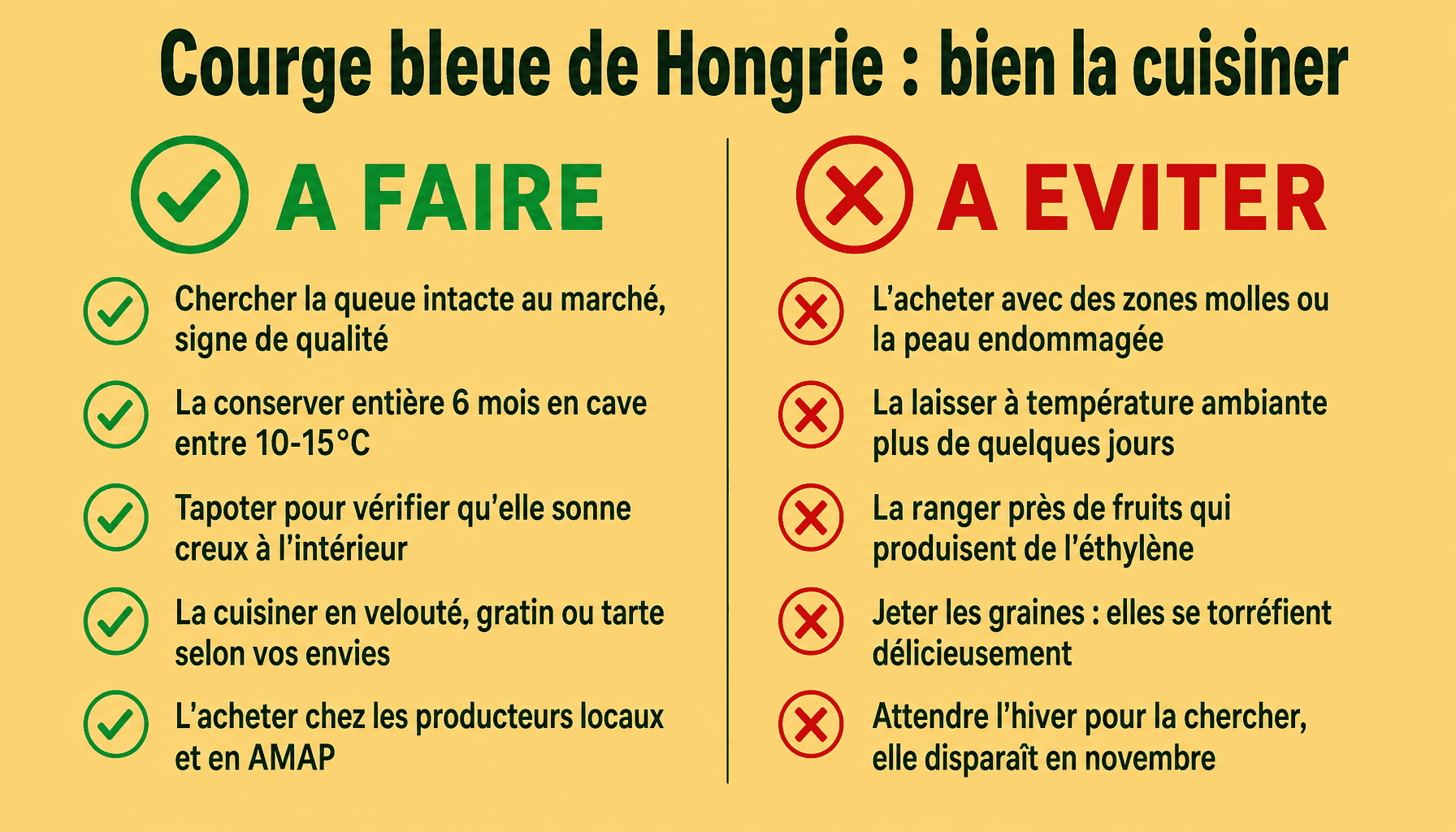 Infographie recettes courge bleue de Hongrie : conseils à faire et à éviter pour bien la préparer