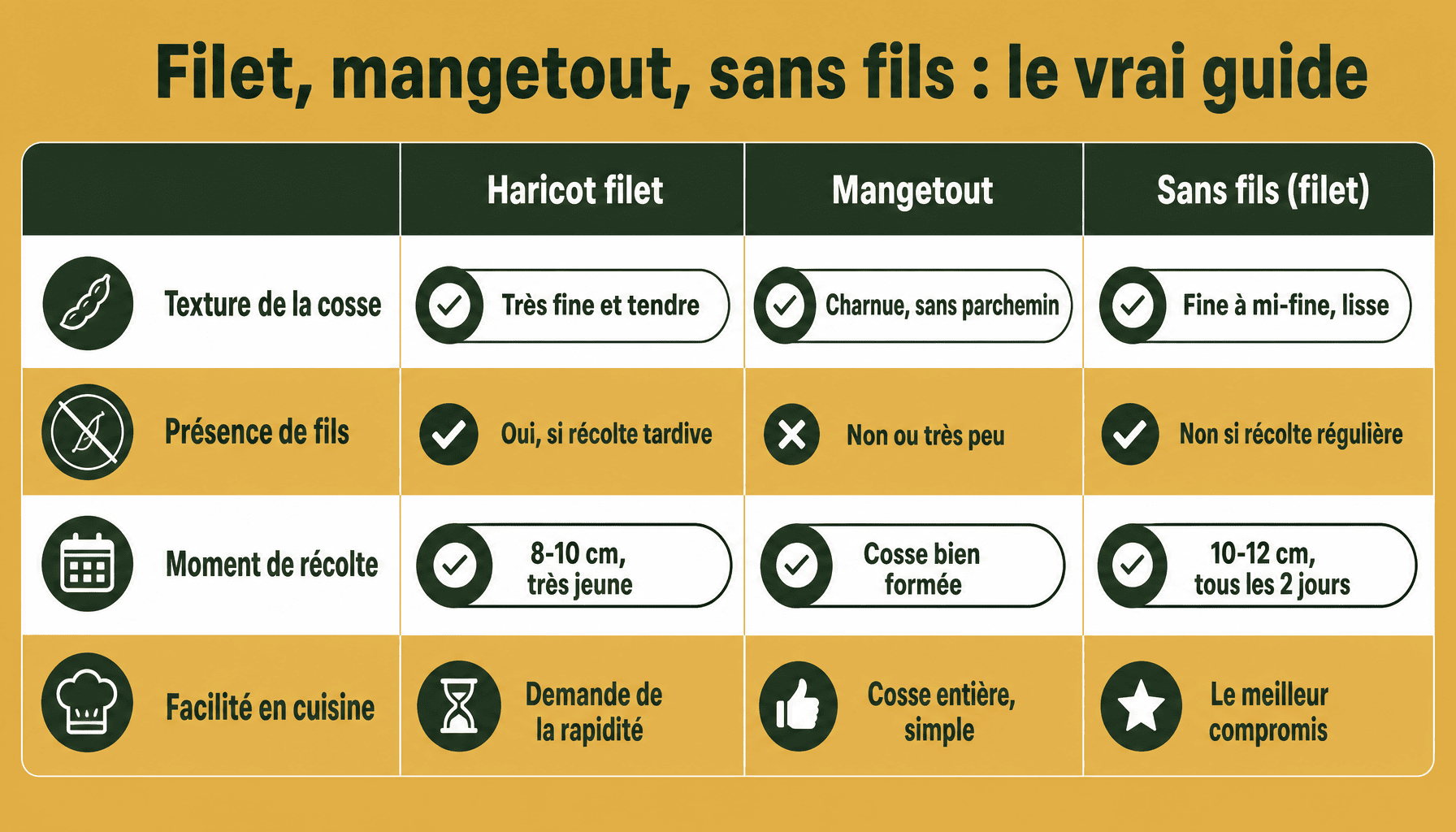 Comparaison des 3 types de les meilleurs haricots verts sans fils : filet, mangetout, sans fils avec critères de récolte et texture