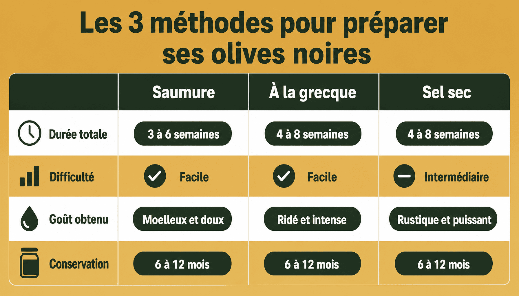 Comparaison des 3 méthodes de préparation olive noir recette : saumure, sel sec, à la grecque