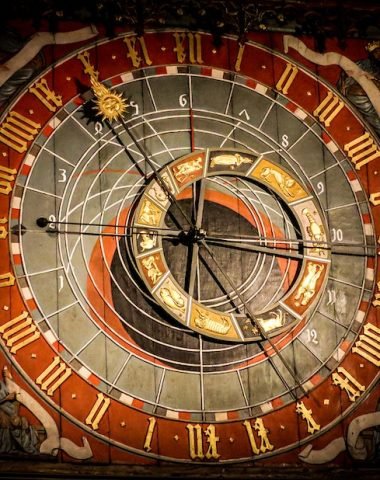 pexels-damir-14276372