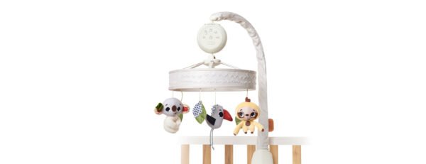 Tiny Love - Mobile Musical Boho Chic