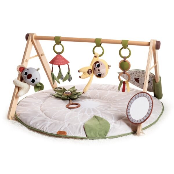 Tiny Love - Tapis d'éveil avec Arche Boho Chic Éveil & Jeux
