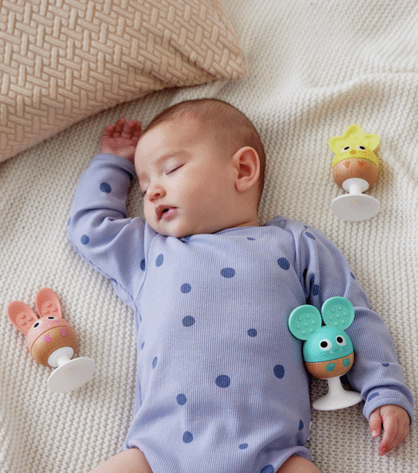 Hape 3 hochets à ventouse animaux