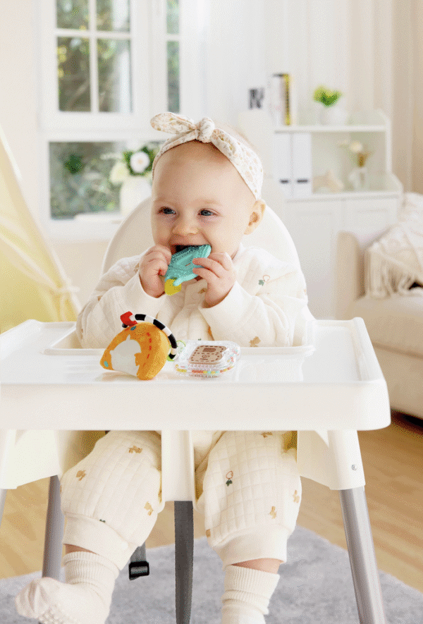 Hape Hochet ABC