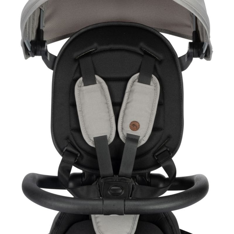 Bébé Confort Tricycle évolutif Windy Tinted Gray