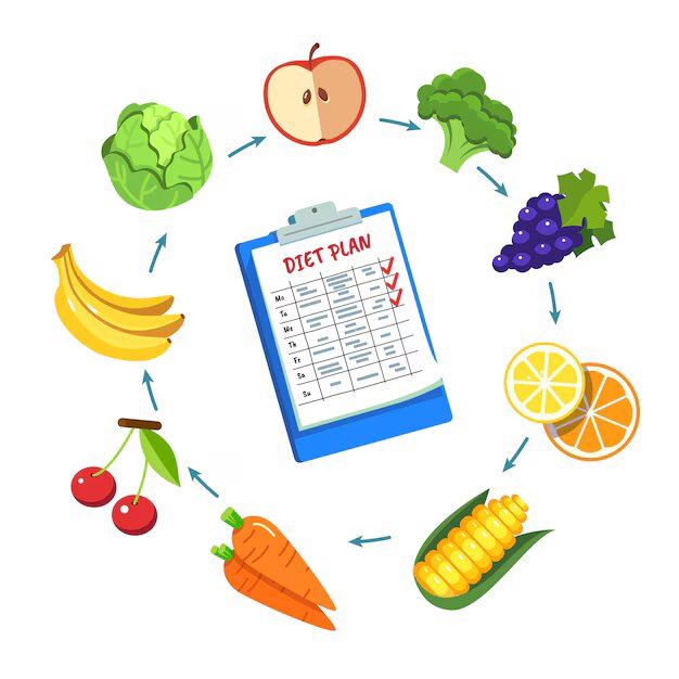 Nutritionist Meal Plan