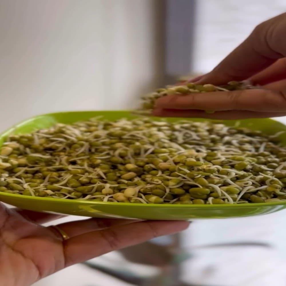 Moong sprouts preparation for pakodas