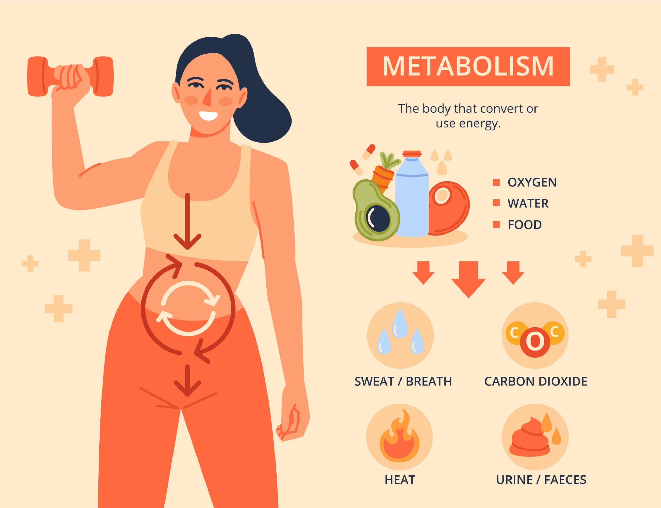 Can Poor Air Quality Slow Metabolism? What Research Suggests