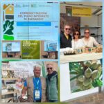 𝗗𝗔𝗟𝗟𝗔 𝗙𝗜𝗘𝗥𝗔 𝗗𝗘𝗟 𝗟𝗘𝗩𝗔𝗡𝗧𝗘 𝗔 𝗧𝗘𝗥𝗥𝗔 𝗠𝗔𝗗𝗥𝗘: 𝗧𝗢𝗥𝗜𝗧𝗧𝗢 𝗣𝗢𝗥𝗧𝗔 𝗜𝗟 𝗦𝗨𝗢 𝗣𝗔𝗘𝗦𝗔𝗚𝗚𝗜𝗢 𝗘 𝗟𝗔 𝗦𝗨𝗔 𝗠𝗔𝗡𝗗𝗢𝗥𝗟𝗔