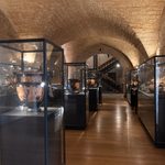 Museo Archeologico di Santa Scolastica: viaggio nella storia di Bari