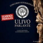 Concorso fotografico “Ulivo Parlante”: prorogata la scadenza