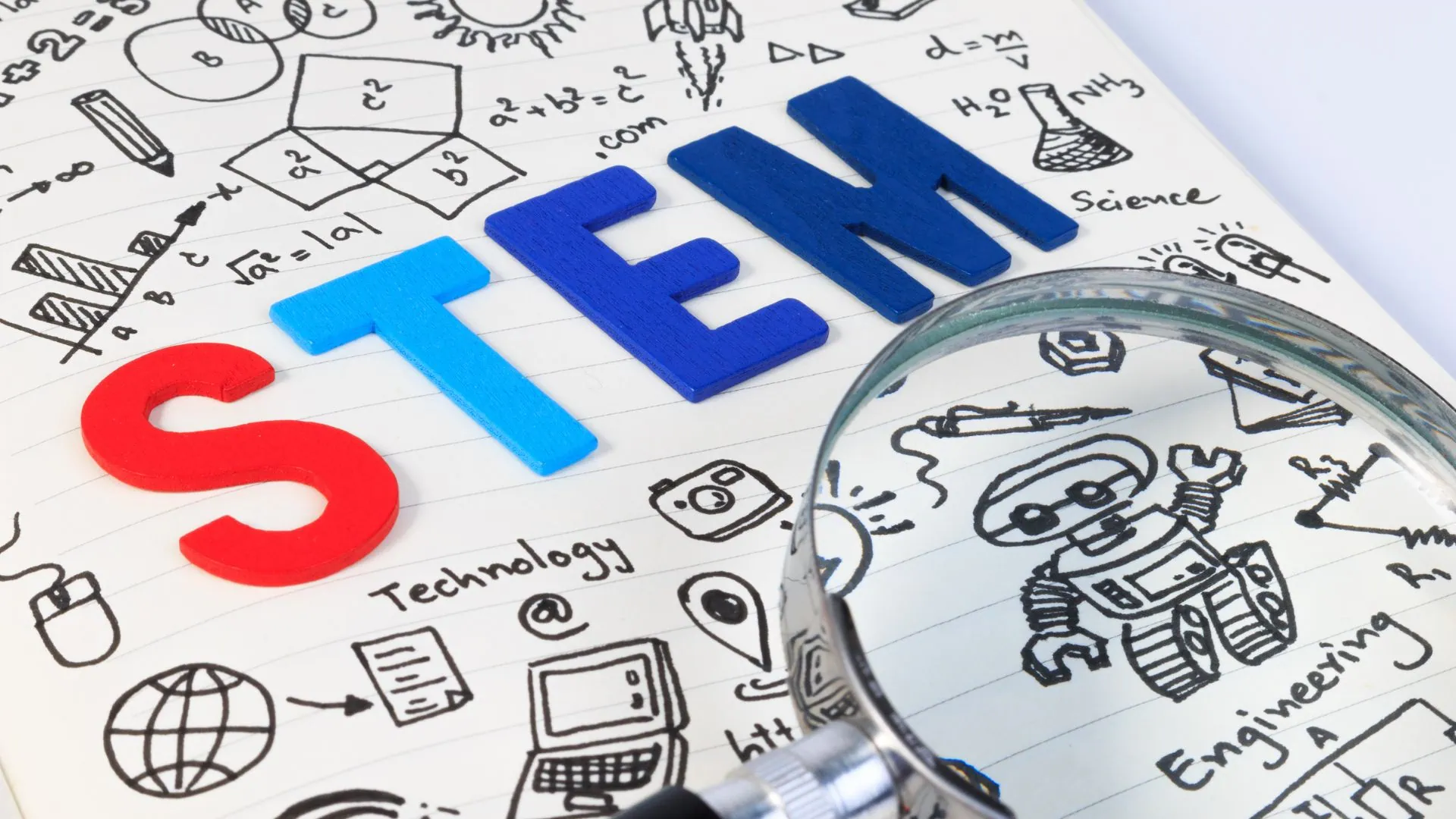 Baycrest study reveals how imagery styles shape pathways into STEM and why gender gaps persist