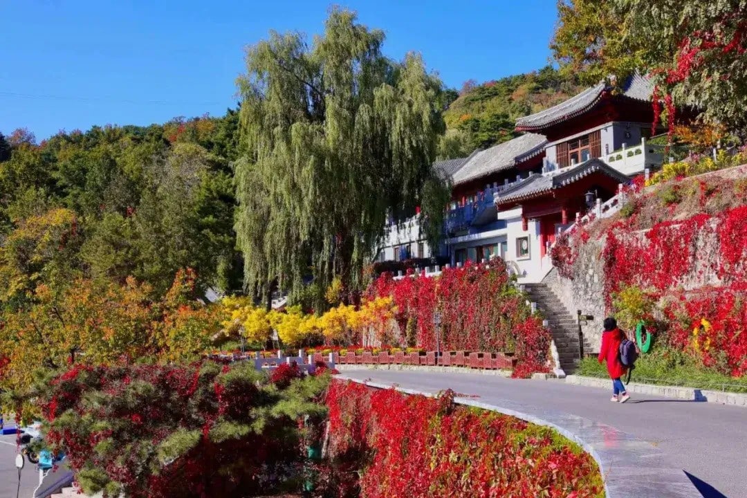 Mountain Valley View