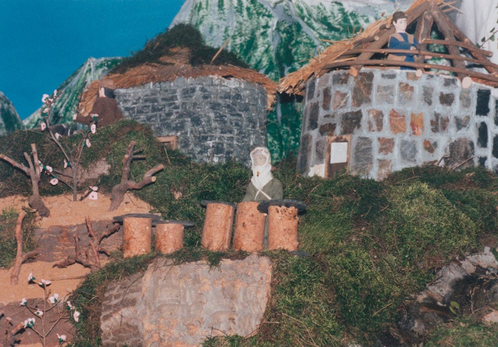 Las colmenas al lado del techador.