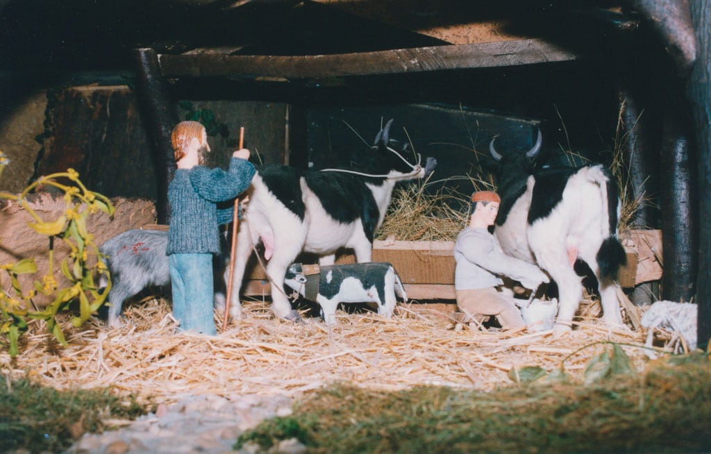 Un ternero mamando de la vaca.