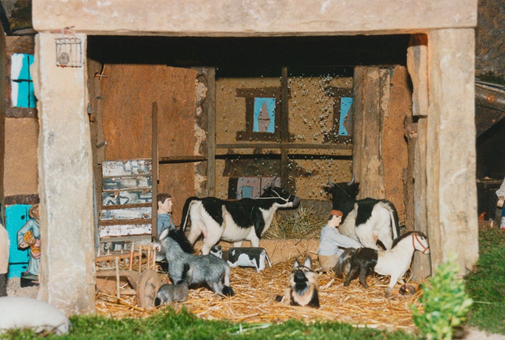 El corral con la nieve de fondo.