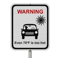 dog in hot car sign