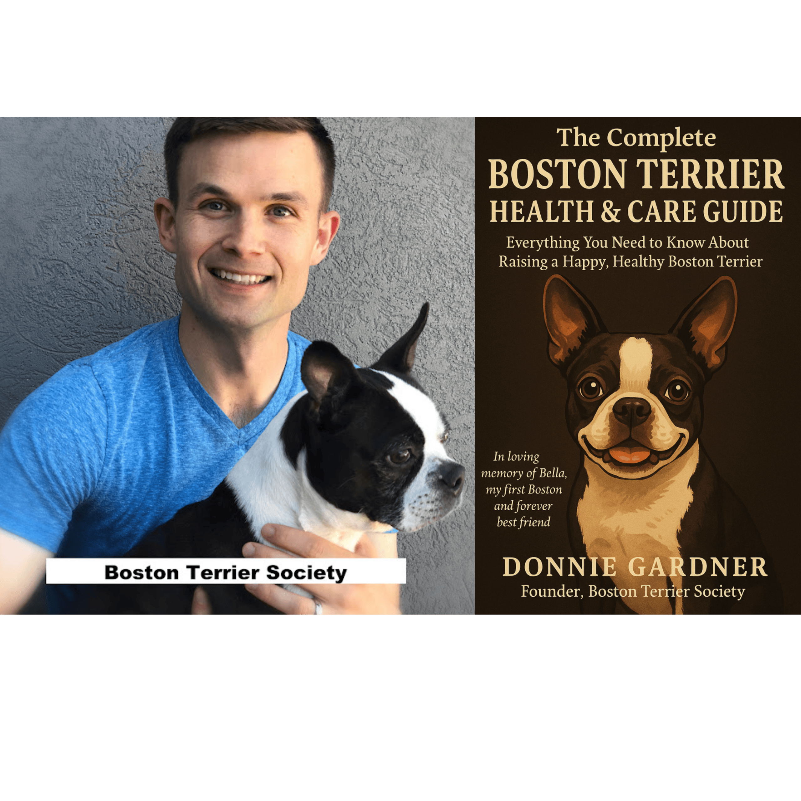 The Complete Boston Terrier Guide