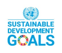sustainable development goals icon