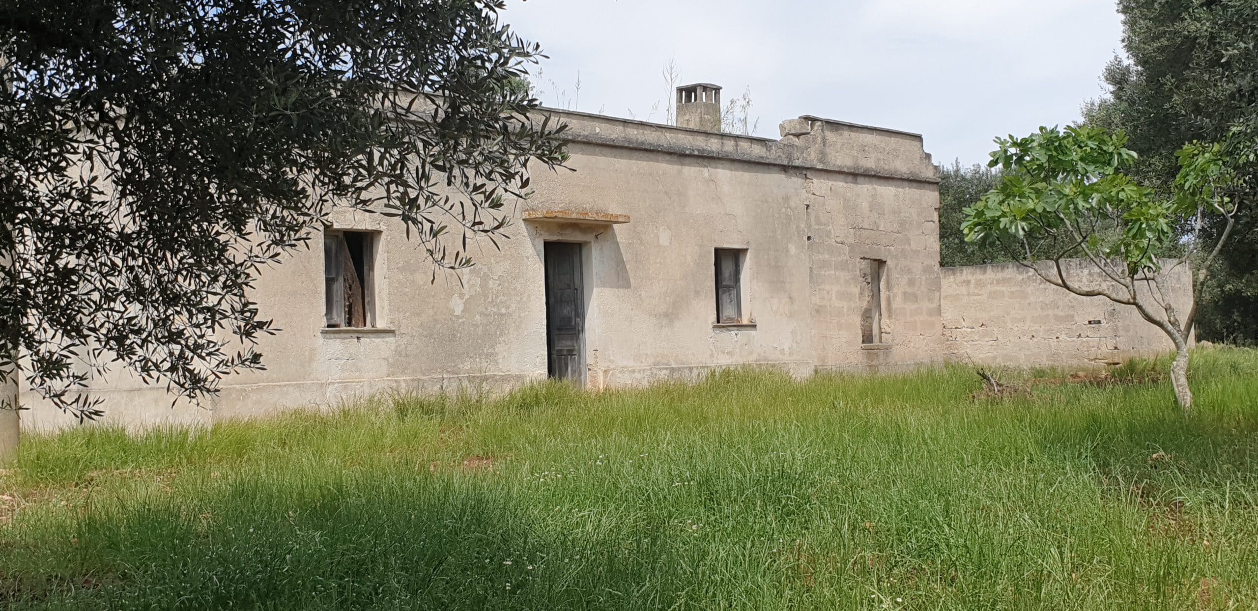 COUNTRY ESTATE with ANCIENT OLIVE GROVE – 5 HECTARES – DEVELOPMENT CHANCE