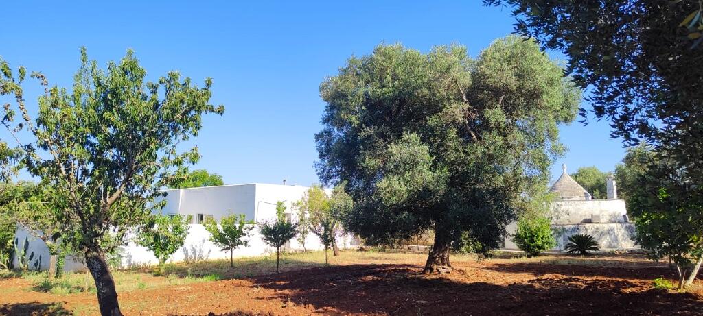 138557_Villatrullomartina_IMG_28_0000