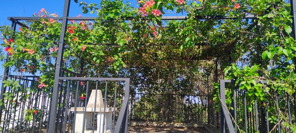 138557_Villatrullomartina_IMG_33_0000