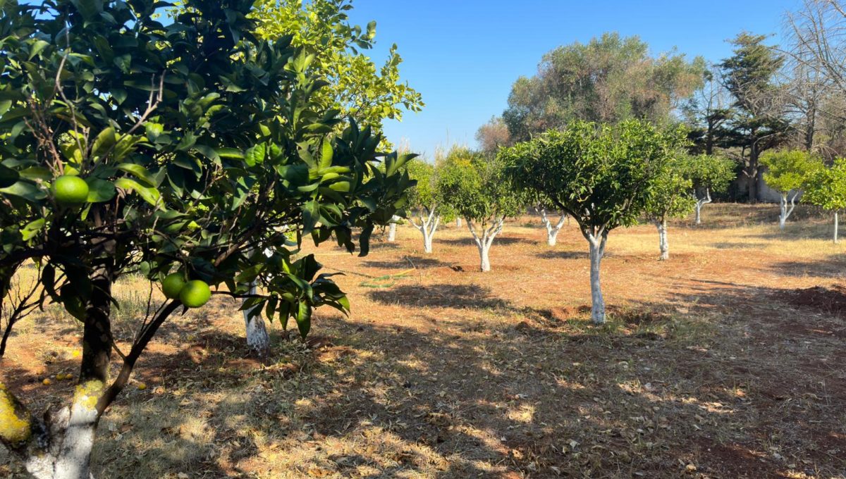 921cb12c-e3f8-447d-b0d4-a4fbc6791607