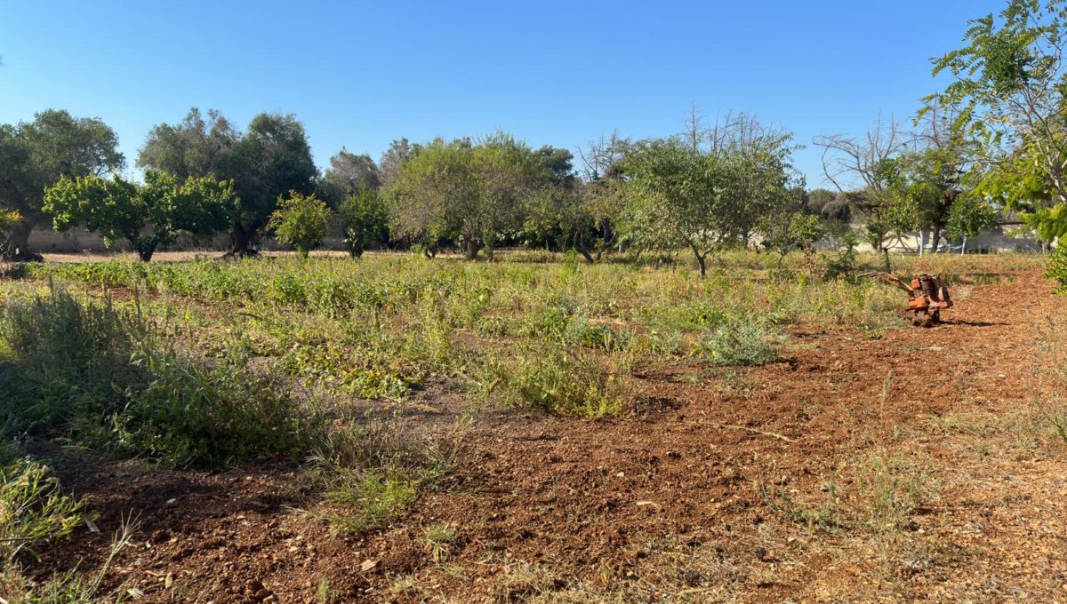 cdaab37f-46f1-46c7-b1fa-7709179f31a5